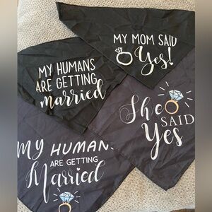 She said yes - my humans are getting married bandanas for a dog (pack of 4)